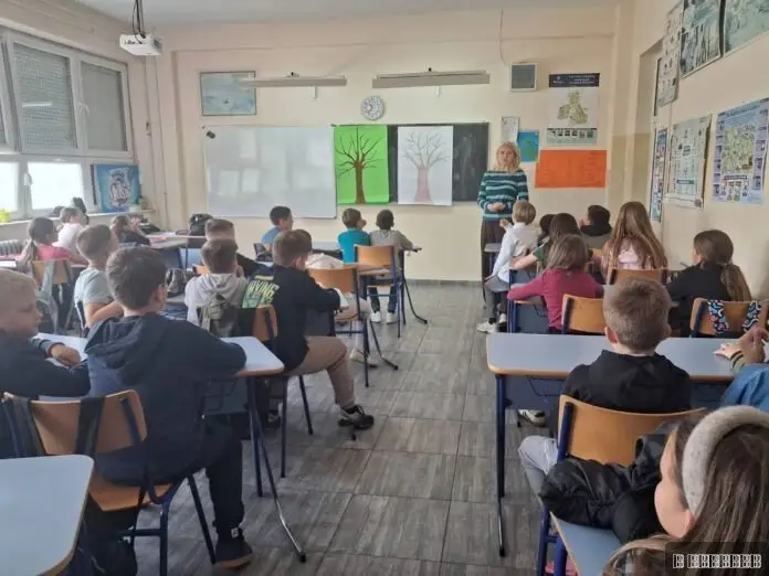 Posebno drvo "raste" u Osnovnoj školi u Preljini: Ovo neobično stablo širi ljubav i drugarstvo među učenicima - evo na koji način