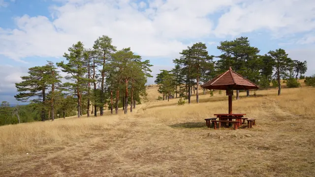 Park prirode Zlatibor riznica za retke biljke i životinje / foto: RINA