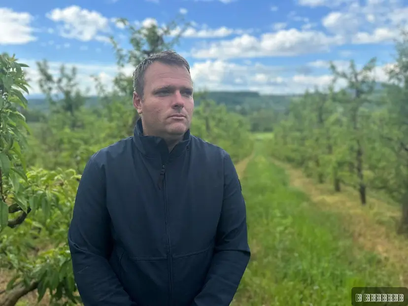 Posle tri godine konačno biće nektarina: U Nenadovom voćnjaku stanje bolje nego lani, ali borba ipak predstoji (FOTO)