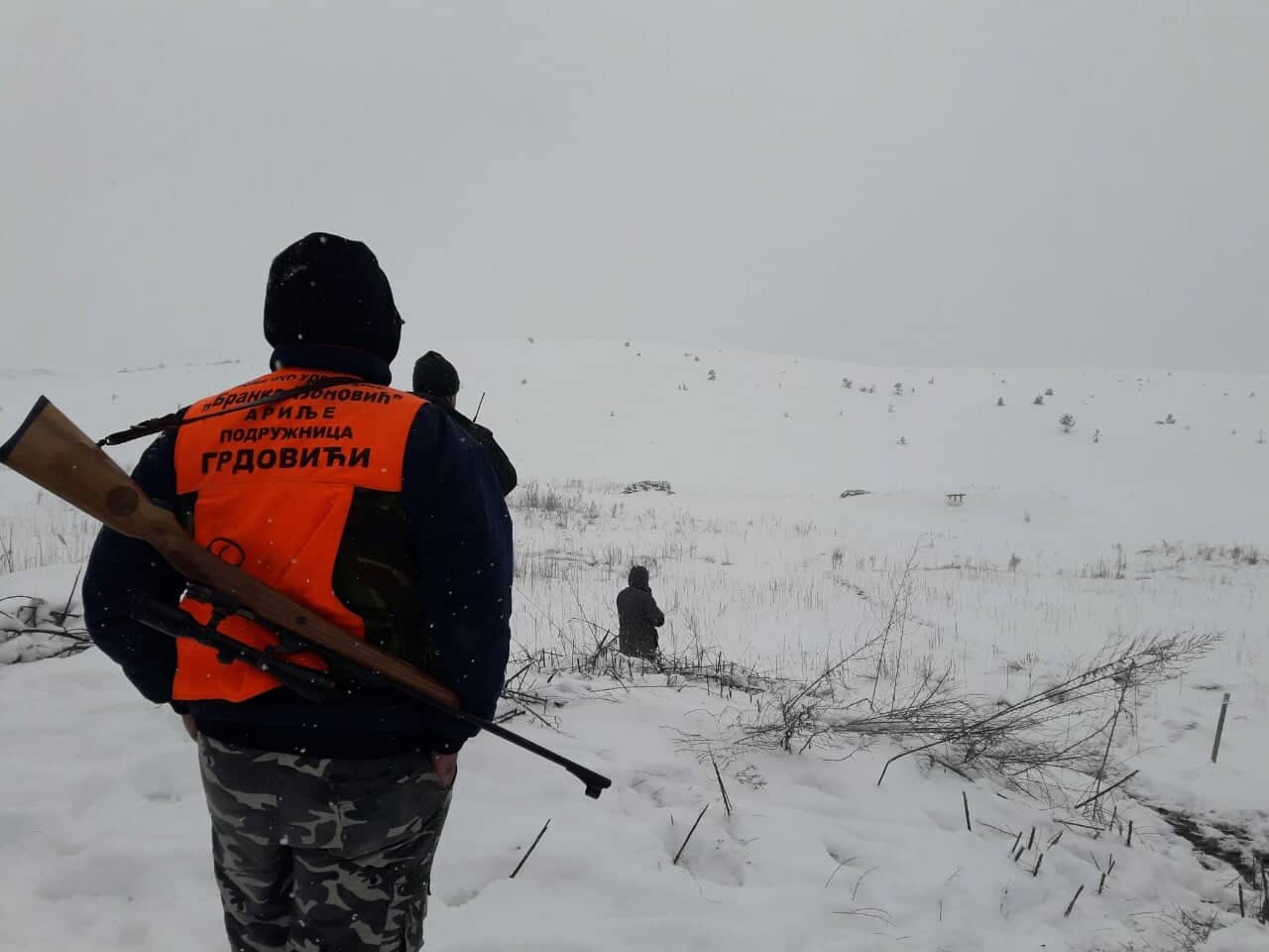 Сутра зором почиње лов на Златиборског вука