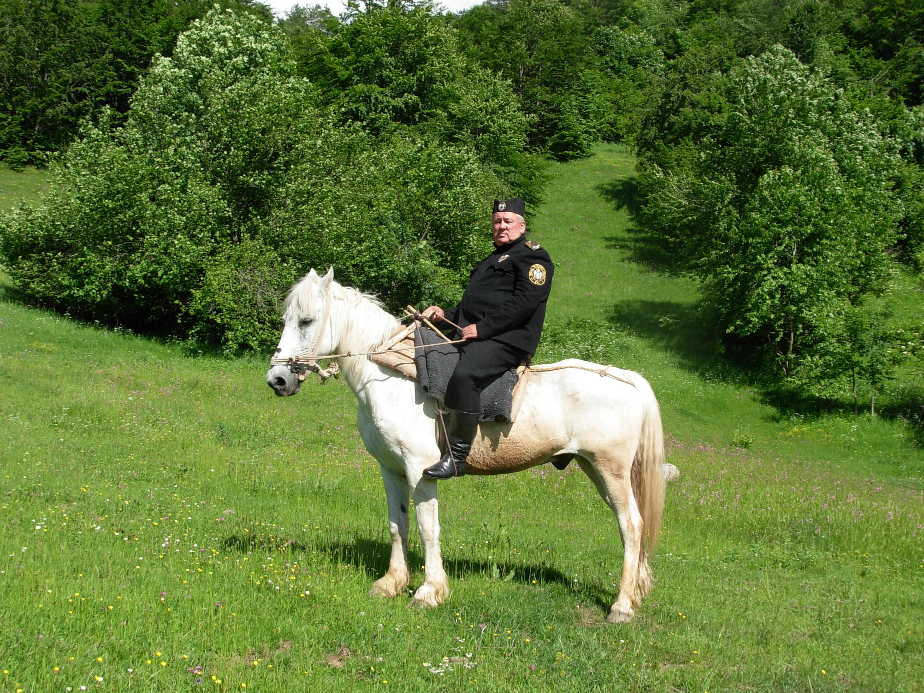 Јуришна јединица Српског четничког покрета преузела је име "Радован Караџић"