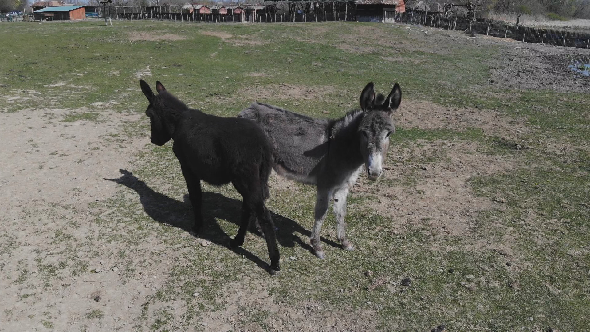 Упознајте резерват природе Засавица – место где рибе живе без воде 