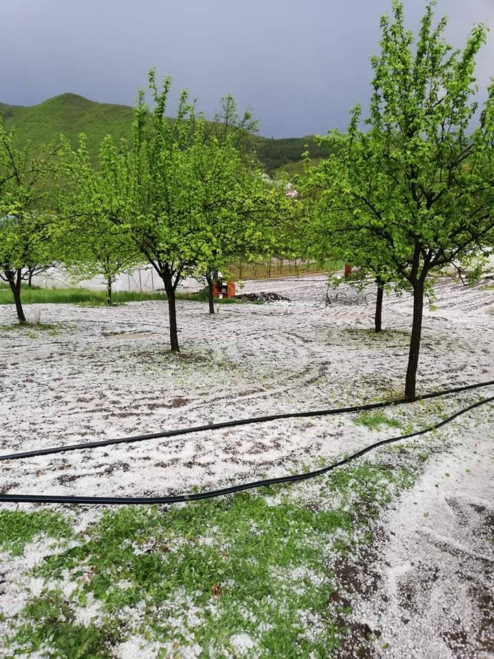 Крупан град покосио Гојну Гору