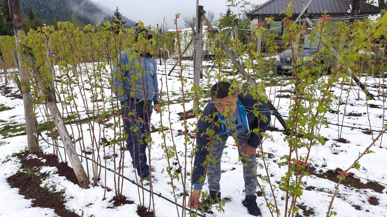 Foto 3