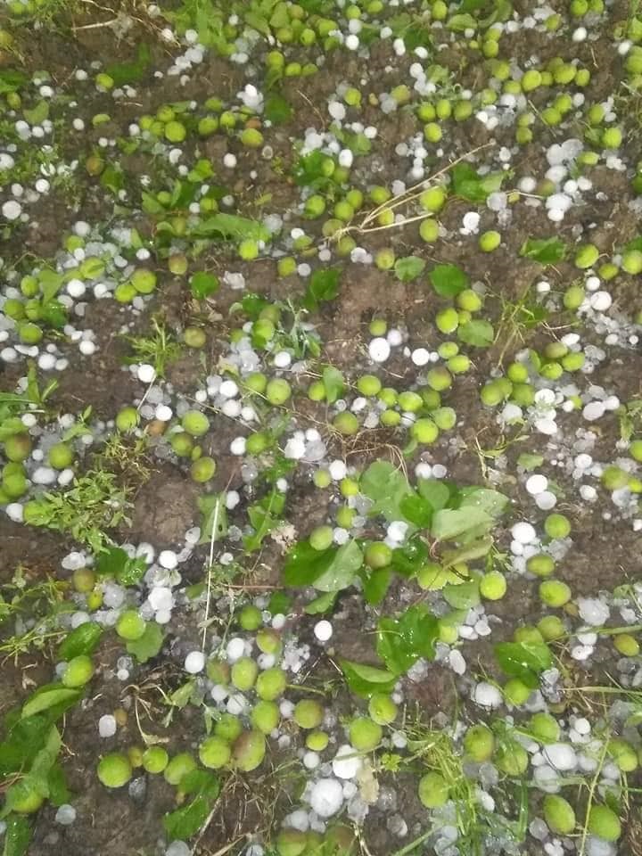 Foto 8