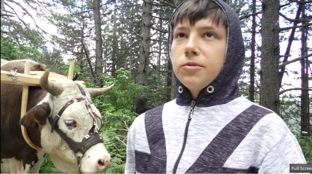 Миланко Савић: Ништа не би имали да нам није волова, фото: РИНА