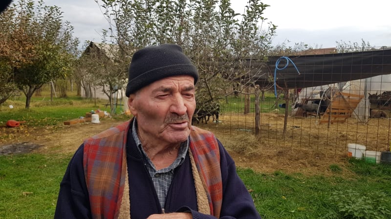 Поново покољ у Халковом тору: Пси упали другу ноћ заредом и поклали још девет оваца 