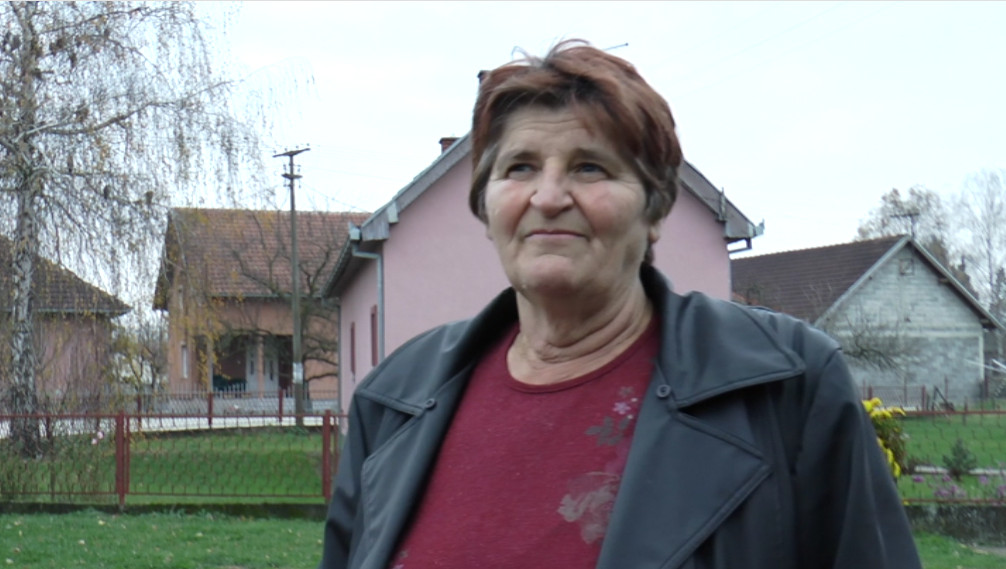 Сове на зимовању у Шумадији: Одомаћиле се на брези код Поповића  (ФОТО)(ВИДЕО)
