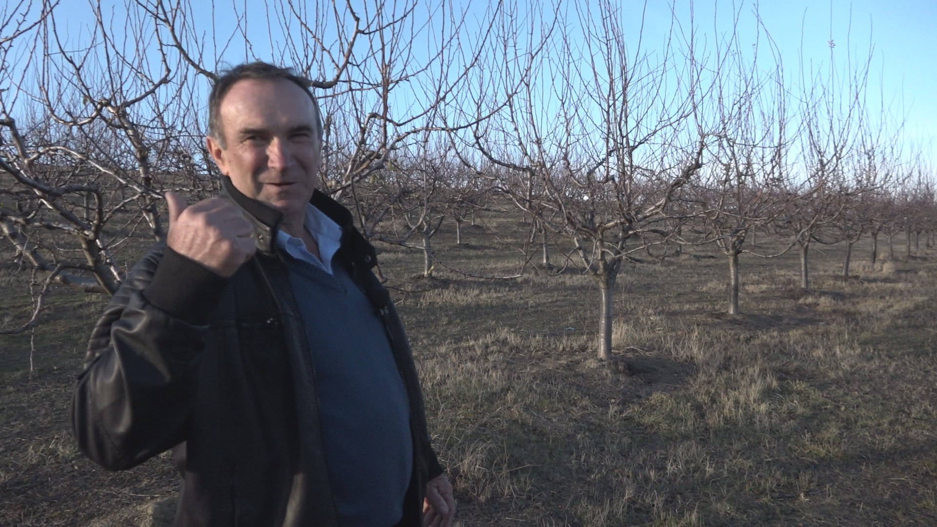  Овако изгледа највећи шљивик у Србији: Марковићи имају имање од чак 18 хектара (ФОТО) 