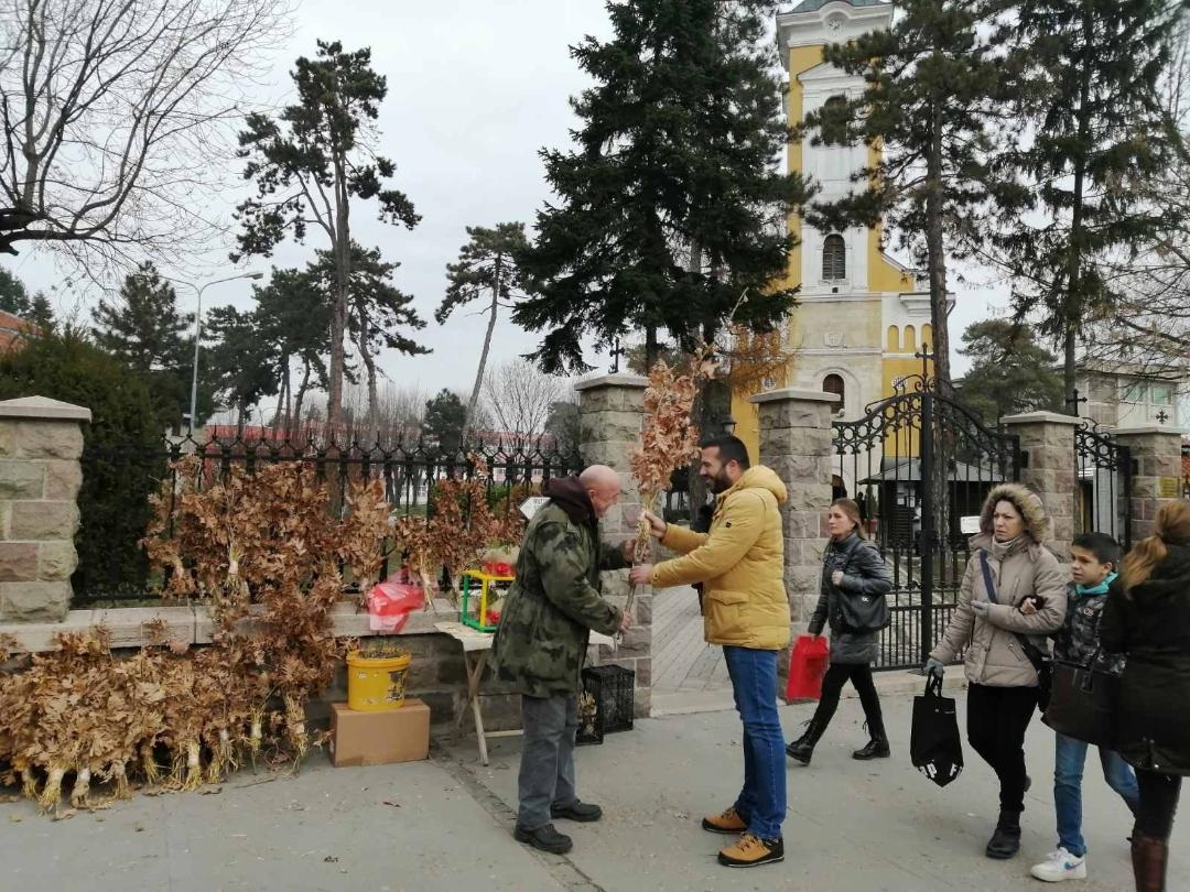 Бадњачар Мићо, тридесет година није изневерио своје суграђане/ Фото: РИНА