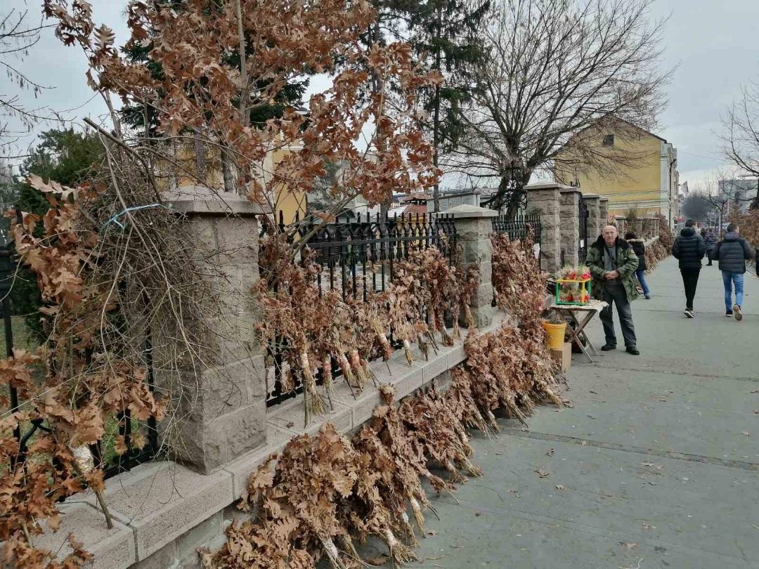 Бадњачар Мићо, тридесет година није изневерио своје суграђане/ Фото: РИНА