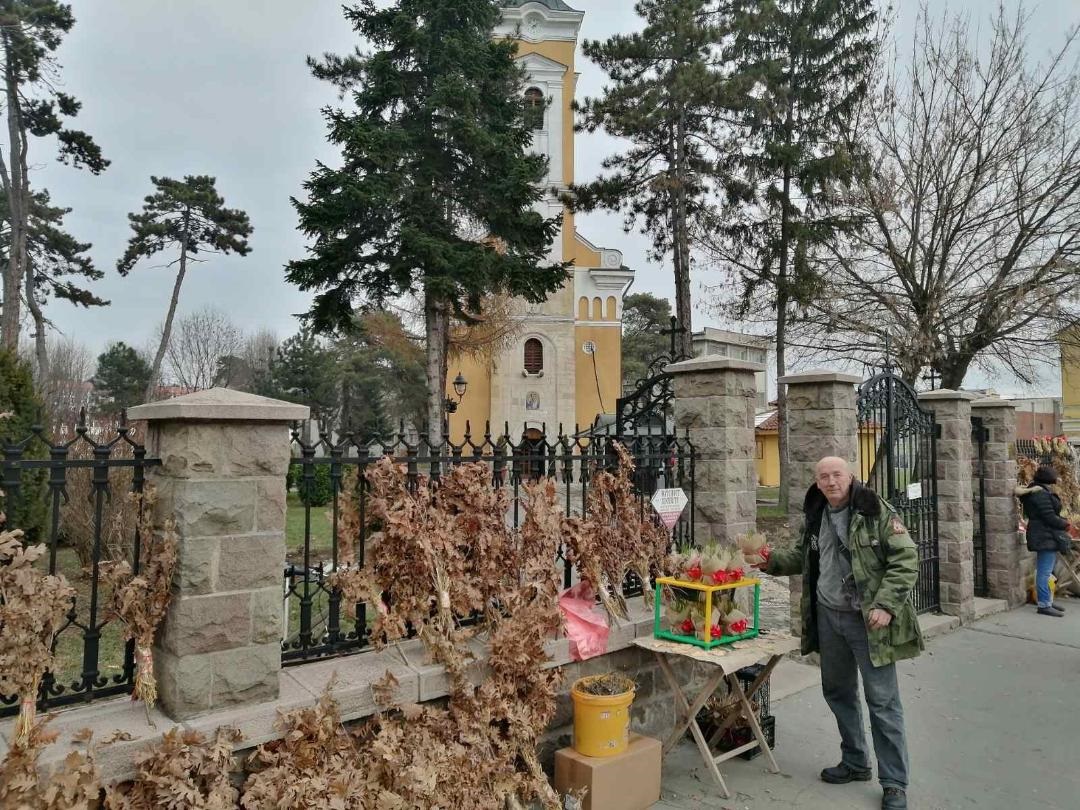 Новац од продаје бадњака доноси најбољи берићет: Ево зашто Мићо никад не враћа кусур (ФОТО)