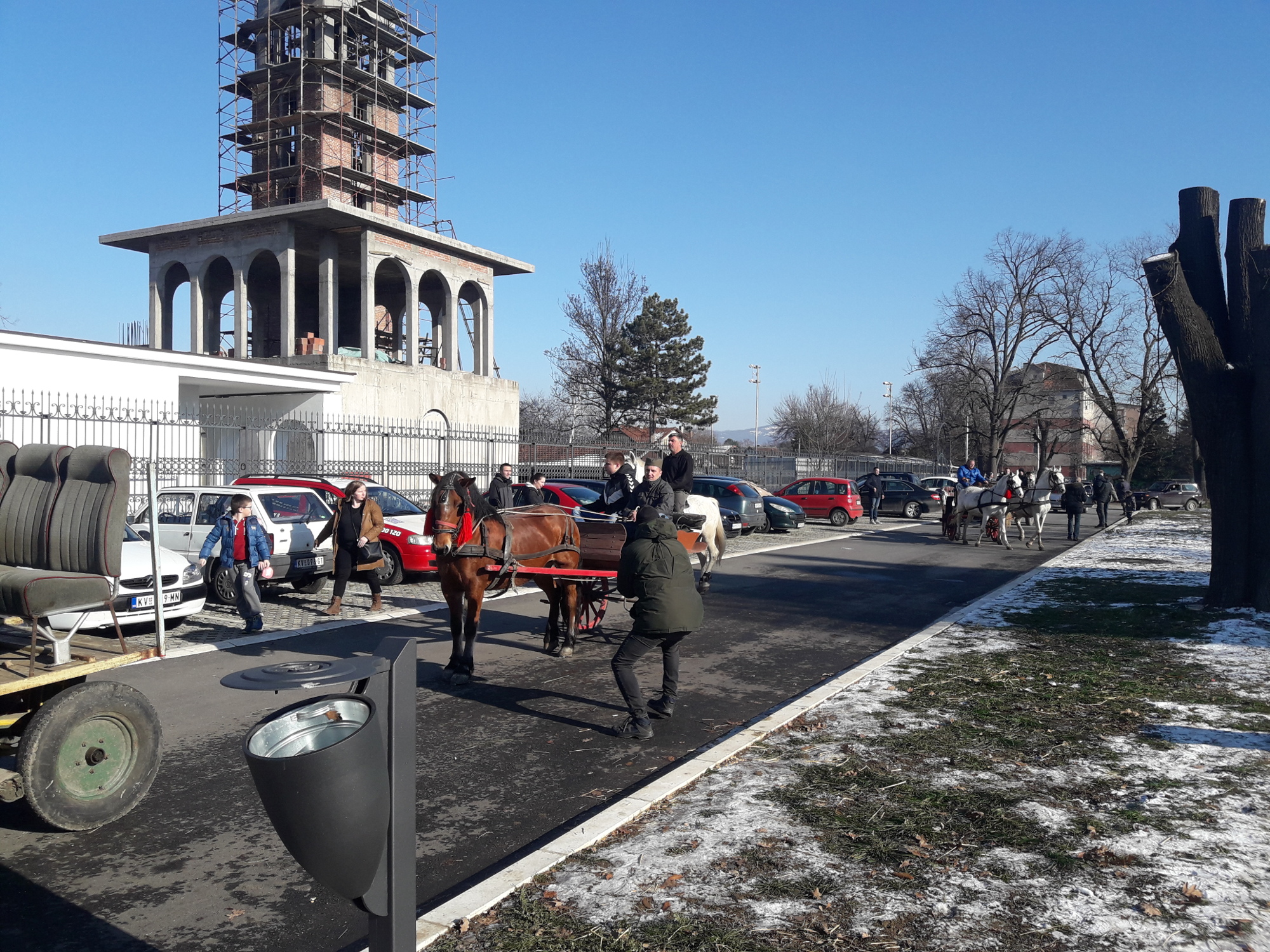 Гиздави коњи уместо аутомобила, фото: РИНА