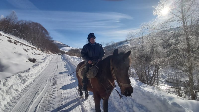 Једино превозно средство у ивањичким селима су трактор и коњ: Овако Дрaгиша иде на сеоску славу ФОТО