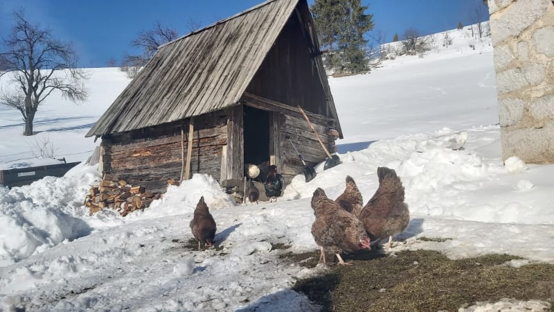 Домаћини навикли на лоше временске услове, фото: РИНА