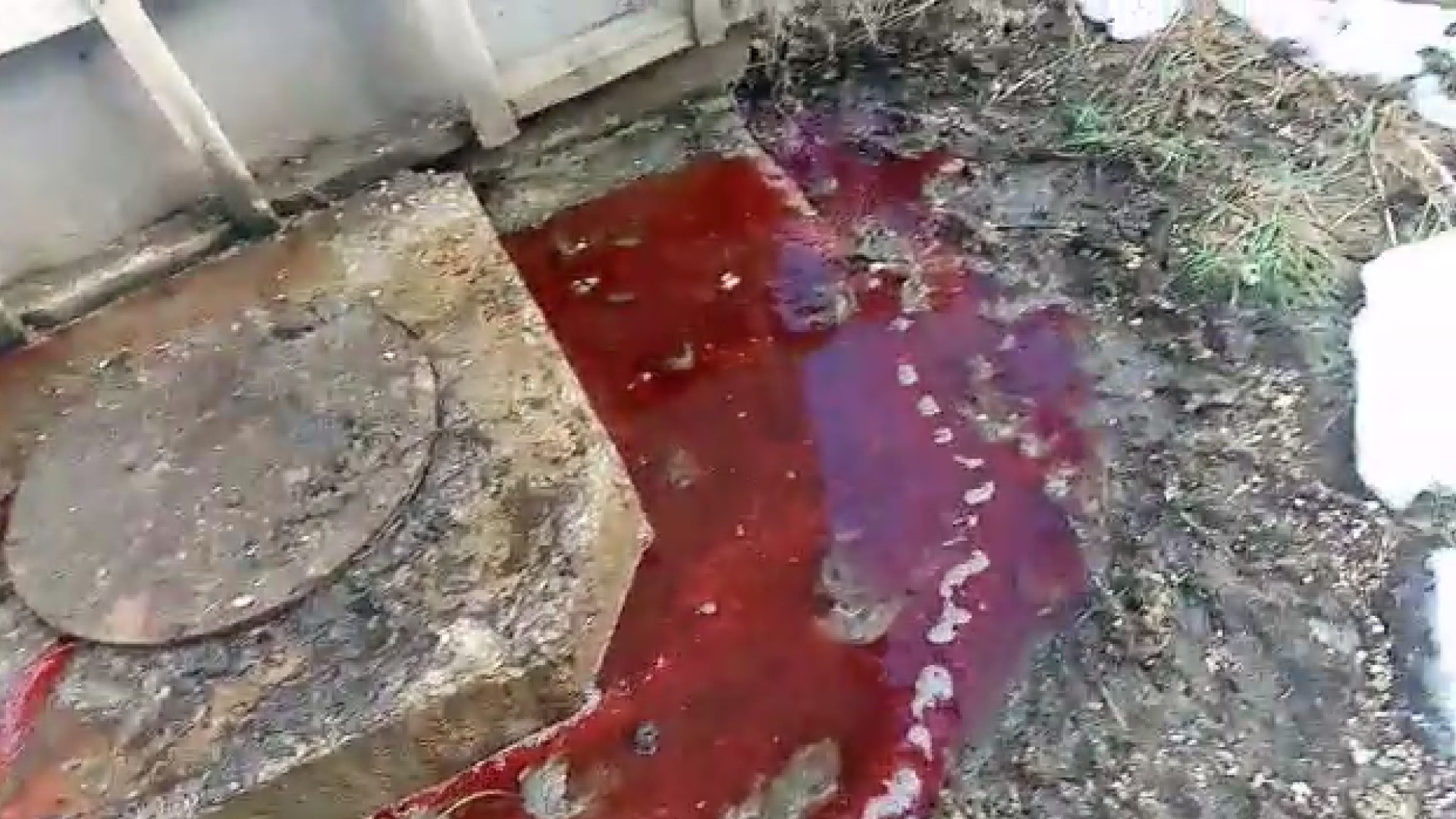Драма у Петловцу се наставља: Крв поново на улицама (ВИДЕО) 