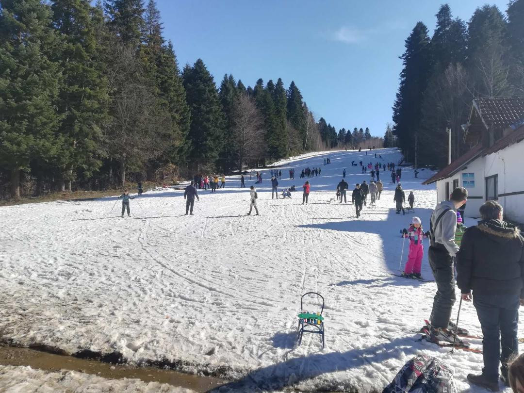 Скијалиште на Гочу се диже из пепела: Дечија планина добија нови ски-лифт (ФОТО) 