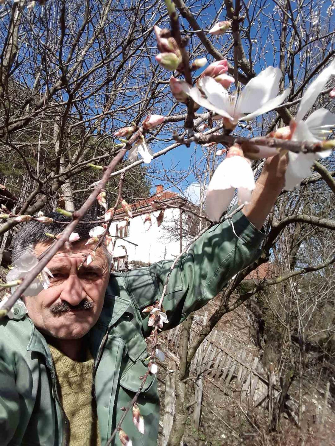 Овако Миша чува своје бадеме: Ватра у воћњаку спашава плодове од мраза (ФОТО)