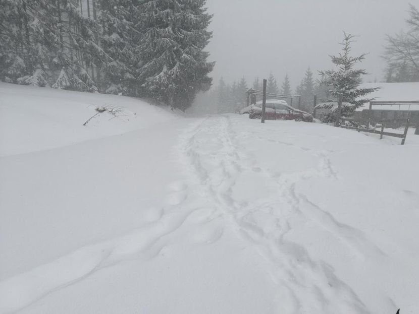 Под снегом домаћинства подно Бобије, фото: РИНА