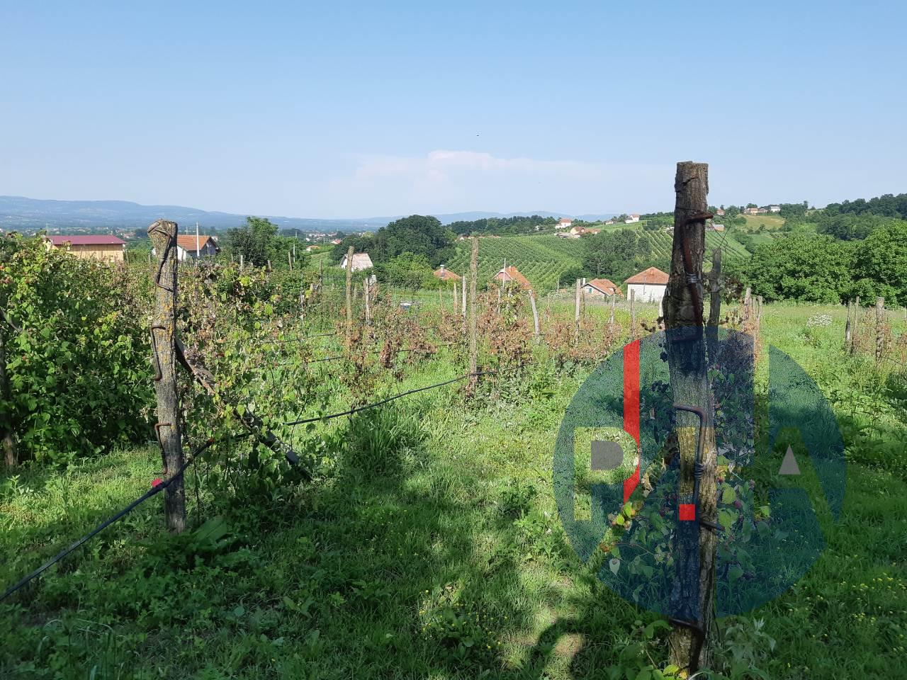 Након првог случаја корона вируса мештани села Мушићи у страху: Заражени Мушкарац (33) био у контакту са 19 лица