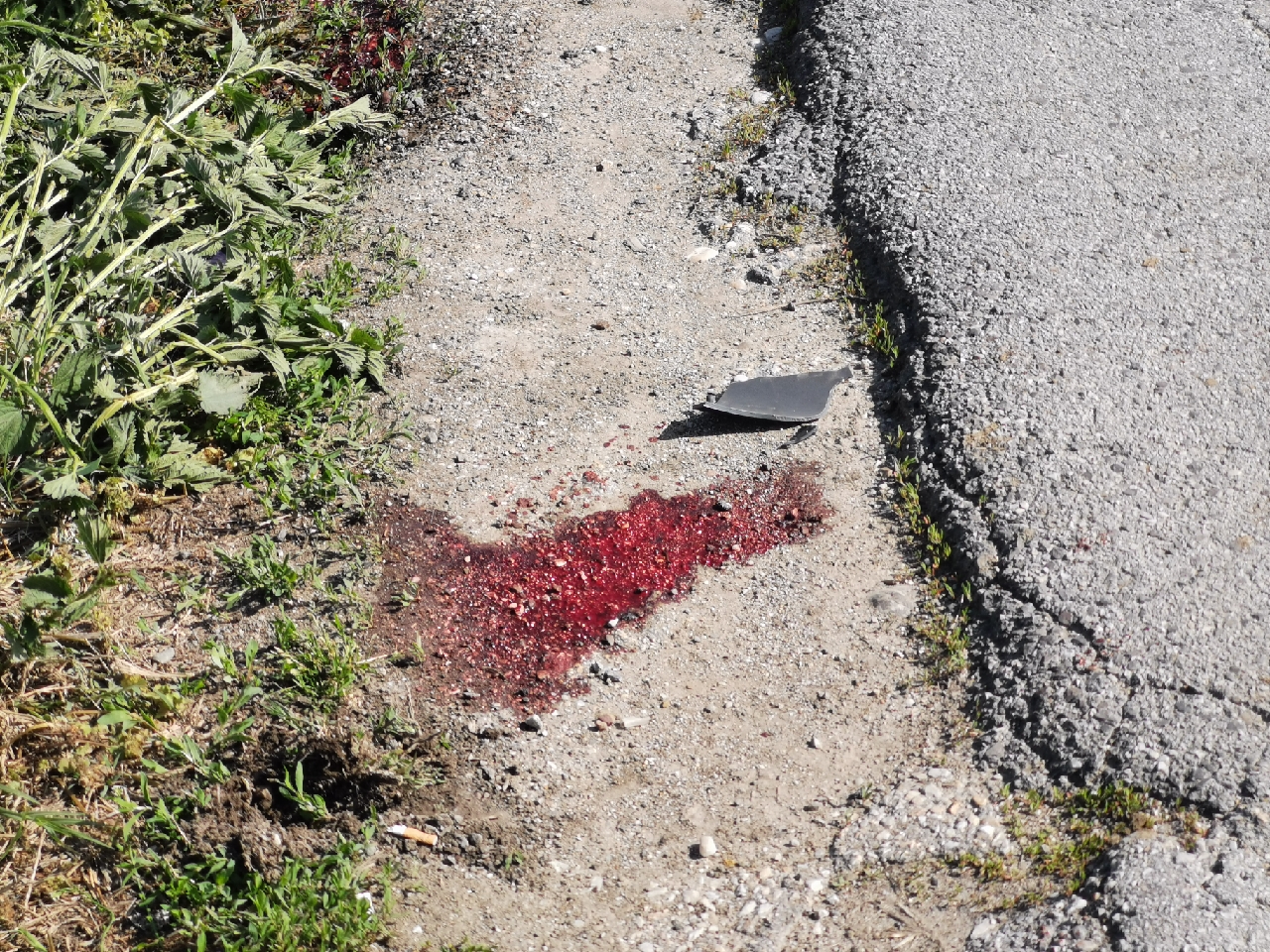 Судар два мотора у Љубић пољу/ Фото: РИНА