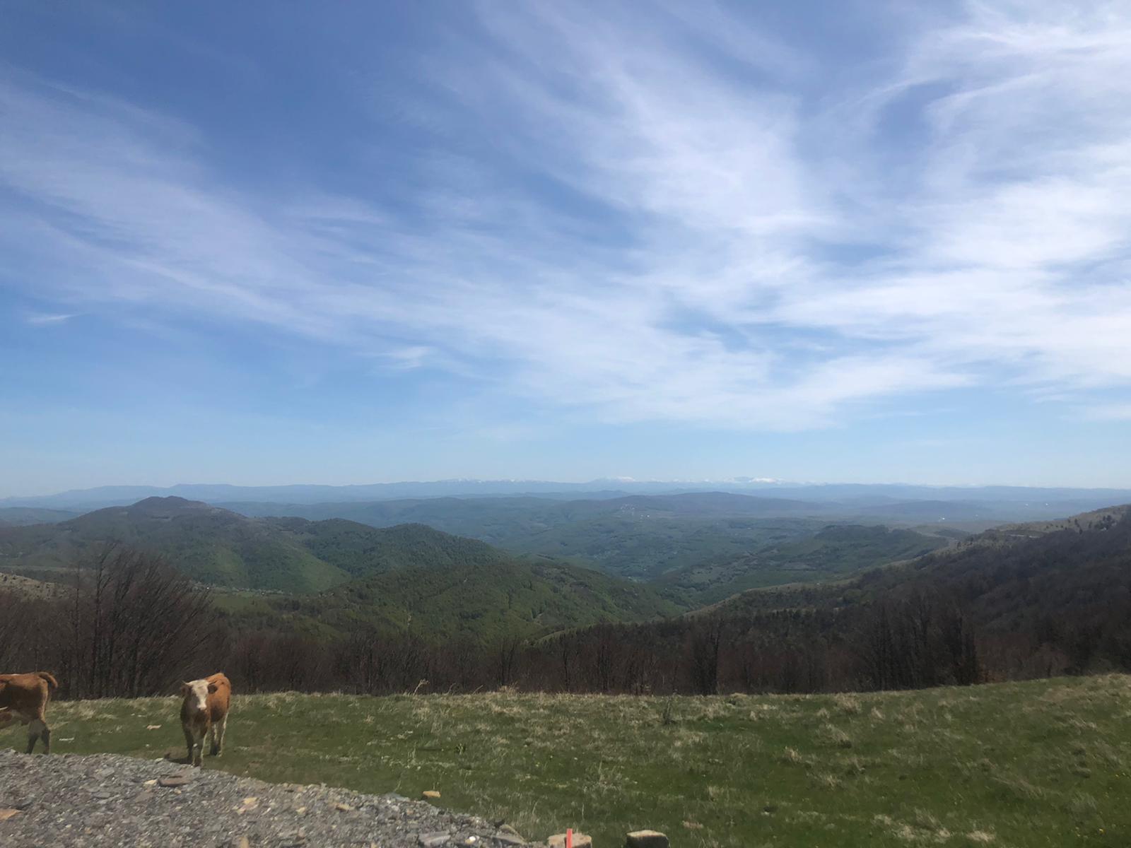 Шумовите падине Голије, фото: РИНА