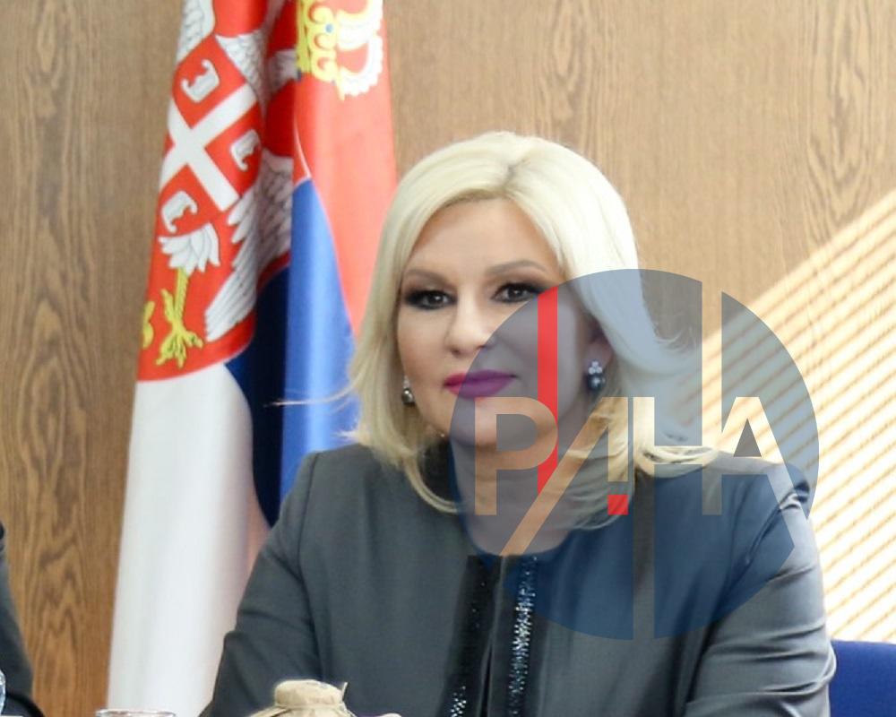 Михајловићева: Равноправност и једнаке могућности неопходни за развој сваке породице