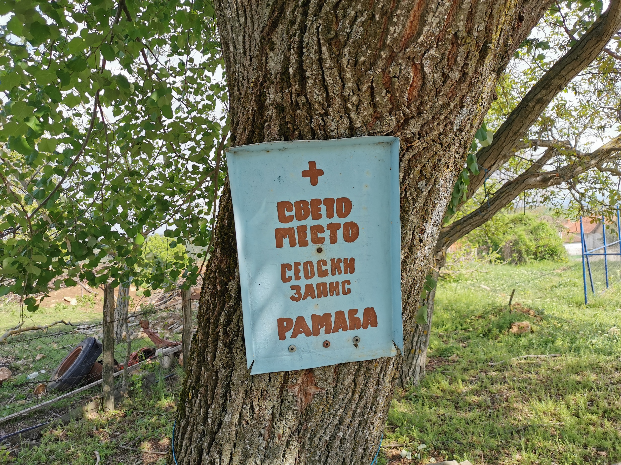 У српским селима и даље постоји "дрво запис": Култно место које штити од невремена и несреће, а свети крст урезује се једном годишње (ФОТО)
