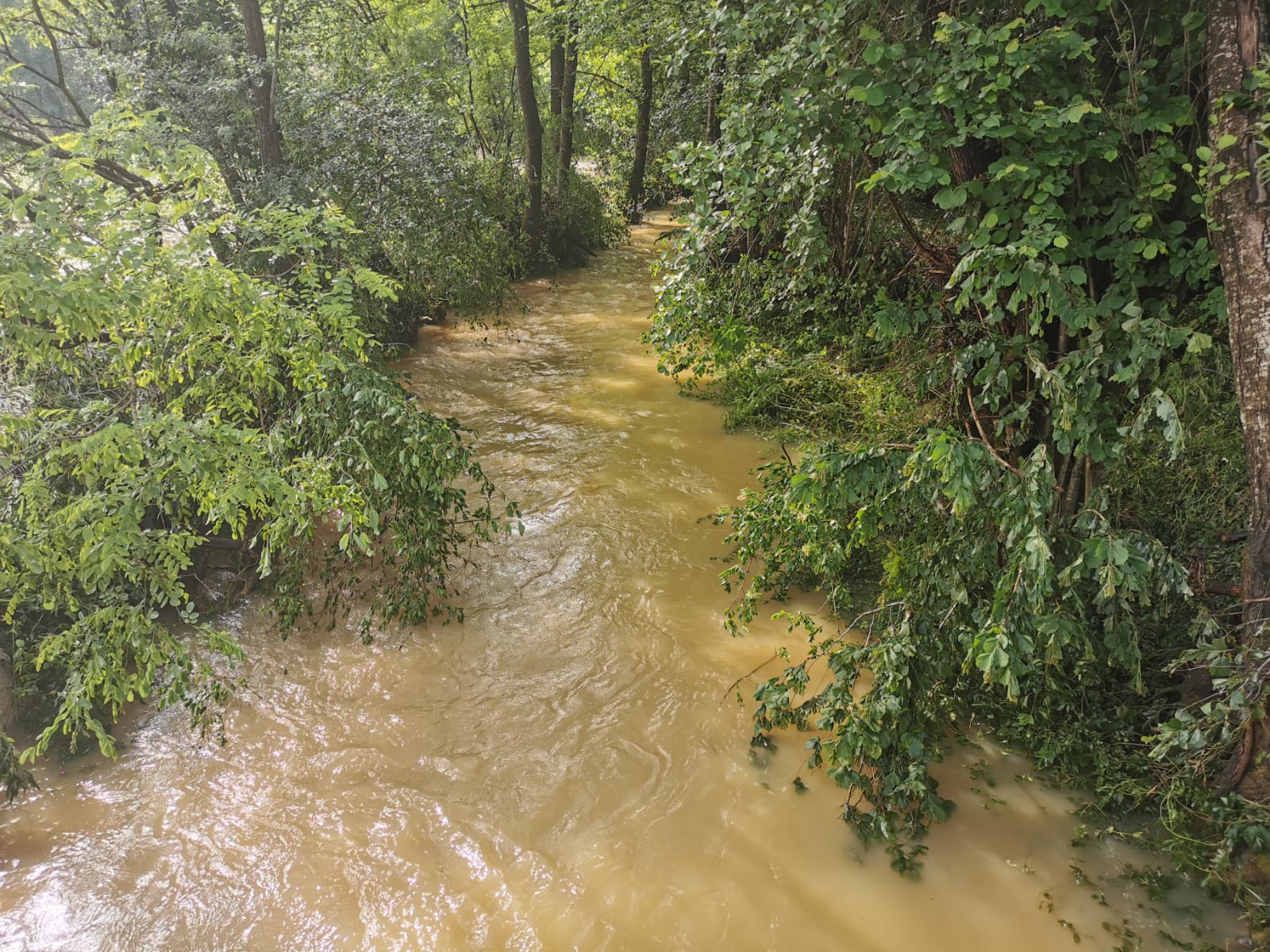 Читаву ноћ трајала борба са воденом стихијом: Поплављена Електродистрибуција у Гучи (ФОТО)(ВИДЕО)