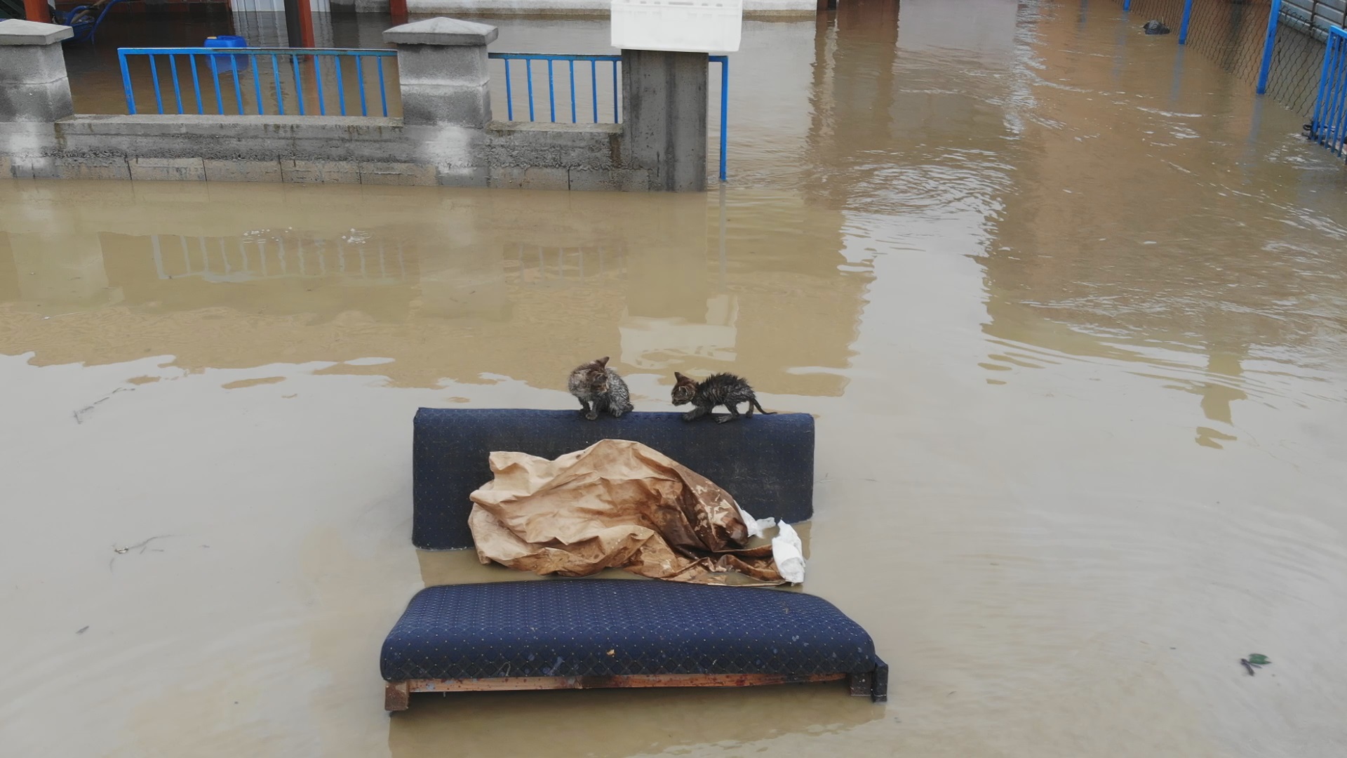 Намештај и даље у води, Фото: РИНА