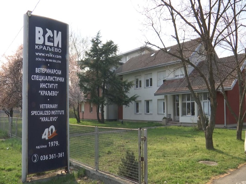 У Краљеву инфицирано 47 особа у једном дану: Тешка епидемиолошка ситуација 