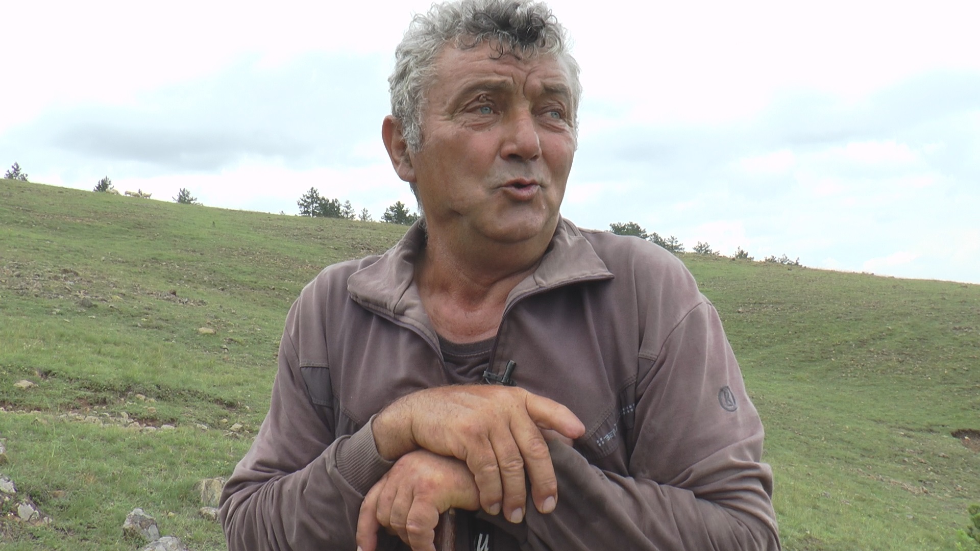 Љубинко чува једно од највећих стада у Србији, посао је тежак, али плата одлична: Ево колико новца зарађује српски чобанин (ФОТО)(ВИДЕО)