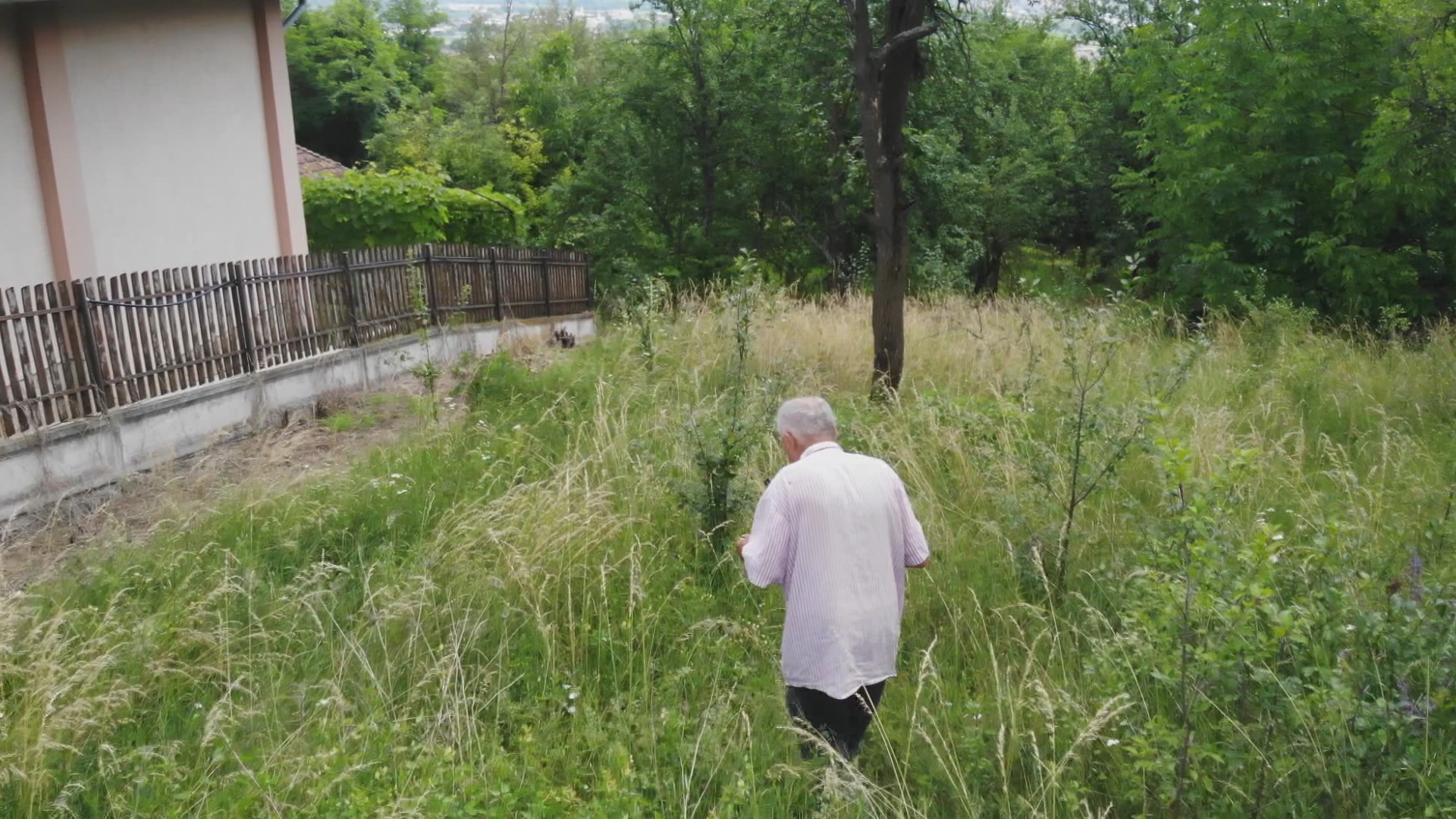 Вода се може пронаћи и разгледањем природе, где је бујнија вегетација/ Фото: РИНА