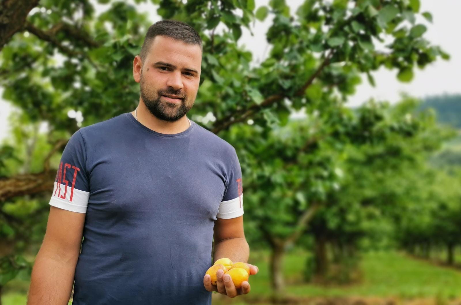 Никад гора година за воћаре у Миоковцима: У престоници српске кајсије нема шта да се бере, мартовски мраз десетковао род (ФОТО)(ВИДЕО)