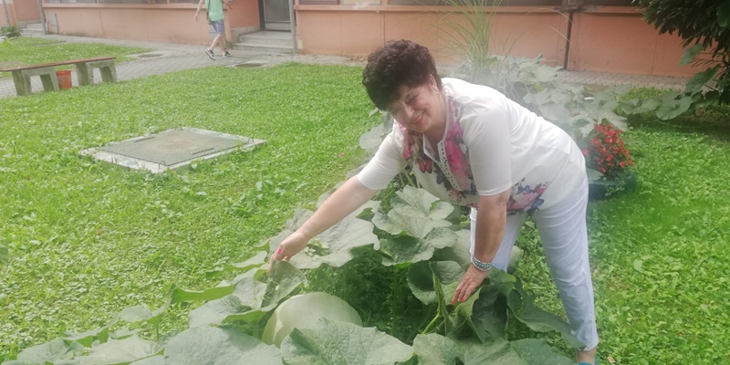 Огромна тиква никла у центру Чачка: Младена вешто барата врежом дугом чак 27 метара (ФОТО)