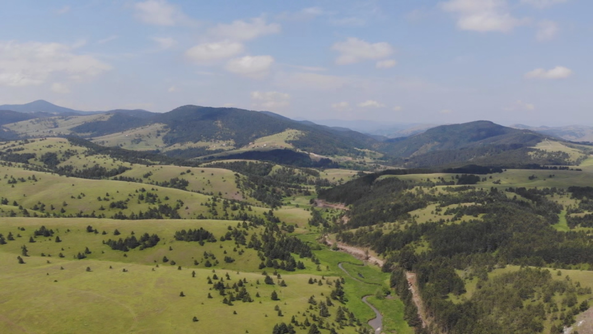 Планина Златибор једна од најпосећенијих овог лета у Србији; фото: РИНА