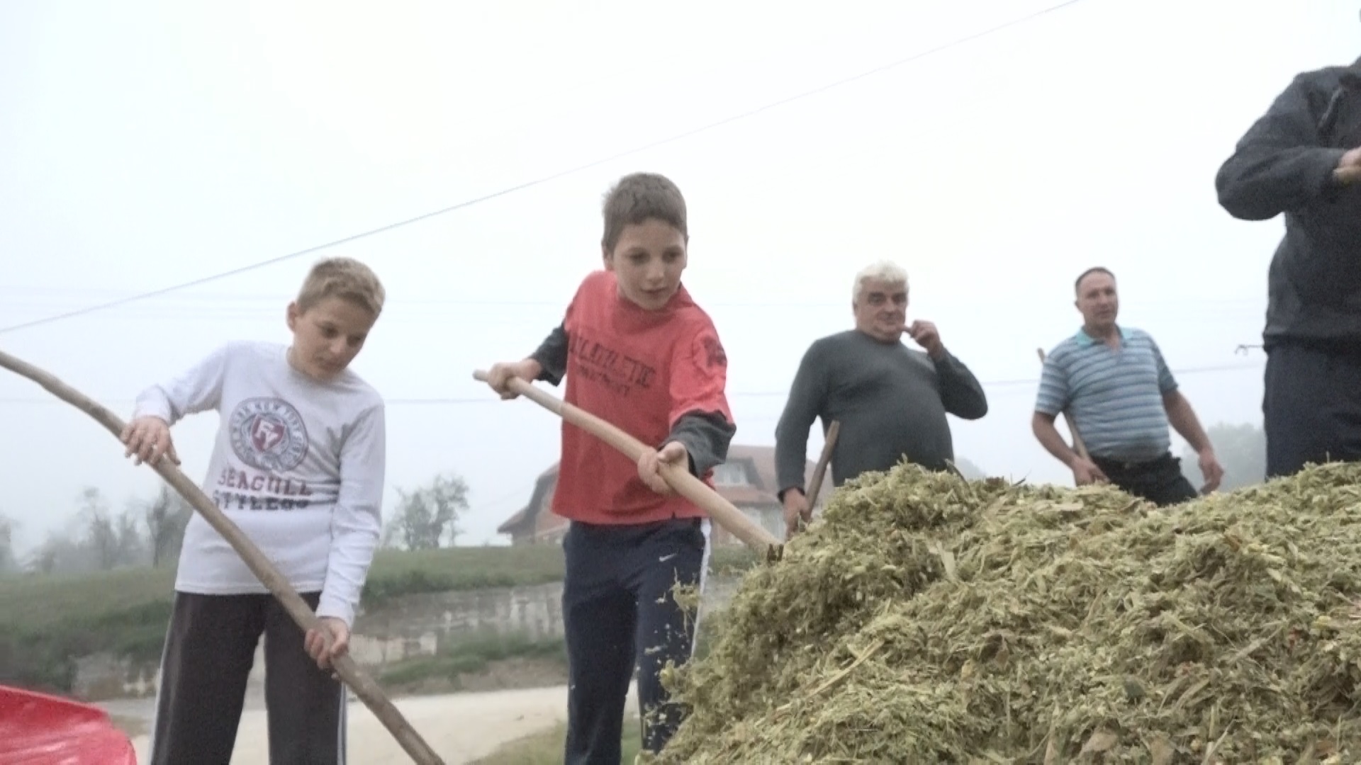 И најмлађи у селу учествују у моби, фото: РИНА