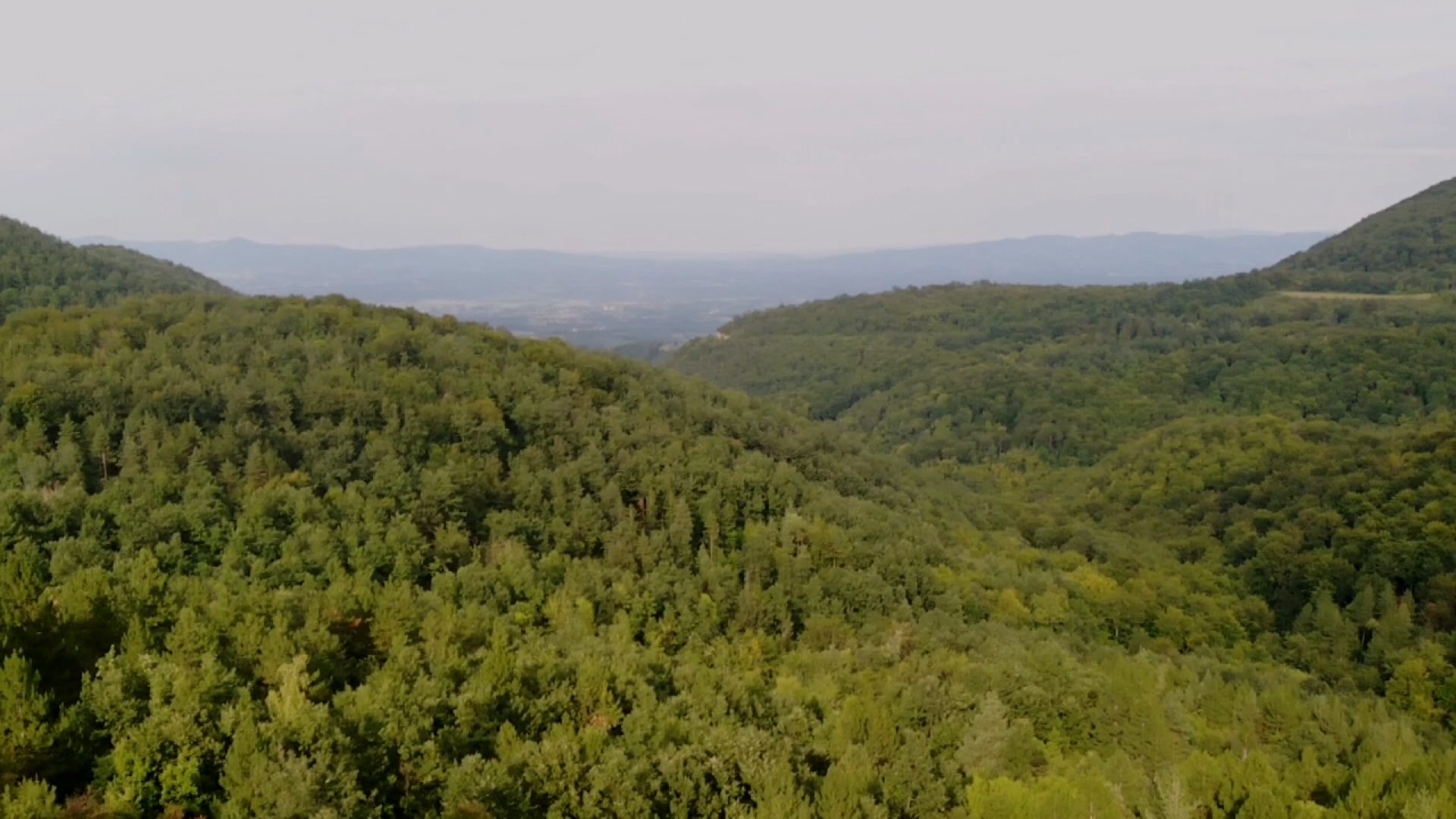 Ко крене на планину Јелицу - не може да се изгуби/ Фото: РИНА