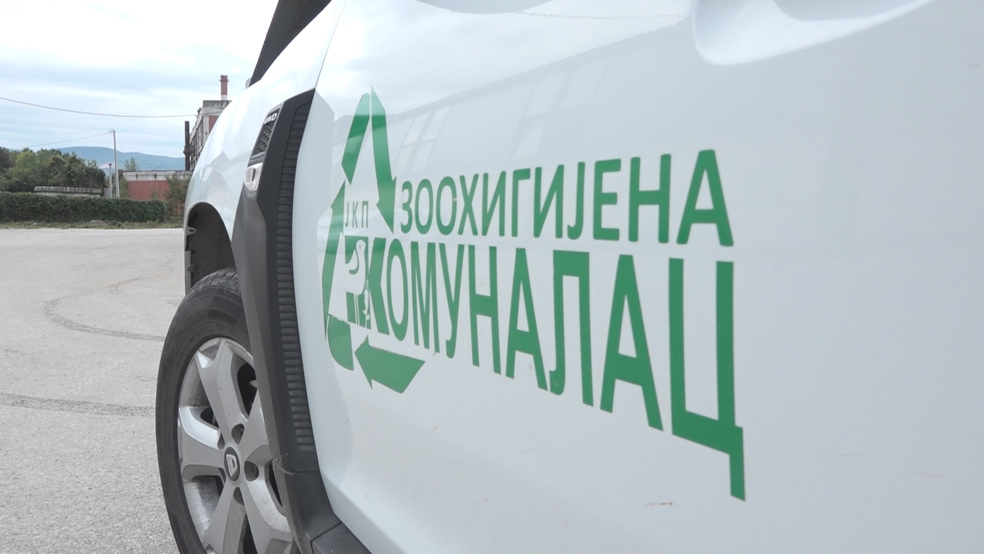 Запаљена мачка у Чачку запалила Србију: Радници "Зоо хигијене" откривају да ово није једини случај малтретирања животиња