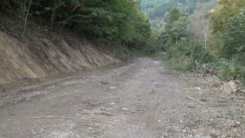 Асфалтира се пут који је жила куцавица прибојског краја: Крај мука за воћаре и дрвосече, који сада на лакши начин могу да пласирају своју робу (ФОТО)