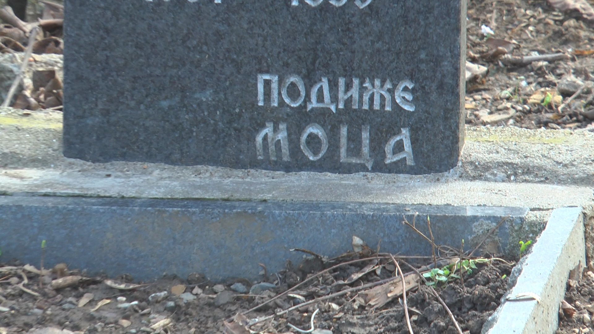 Момо је одгајио Касандру од кад је била штене, Фото: РИНА