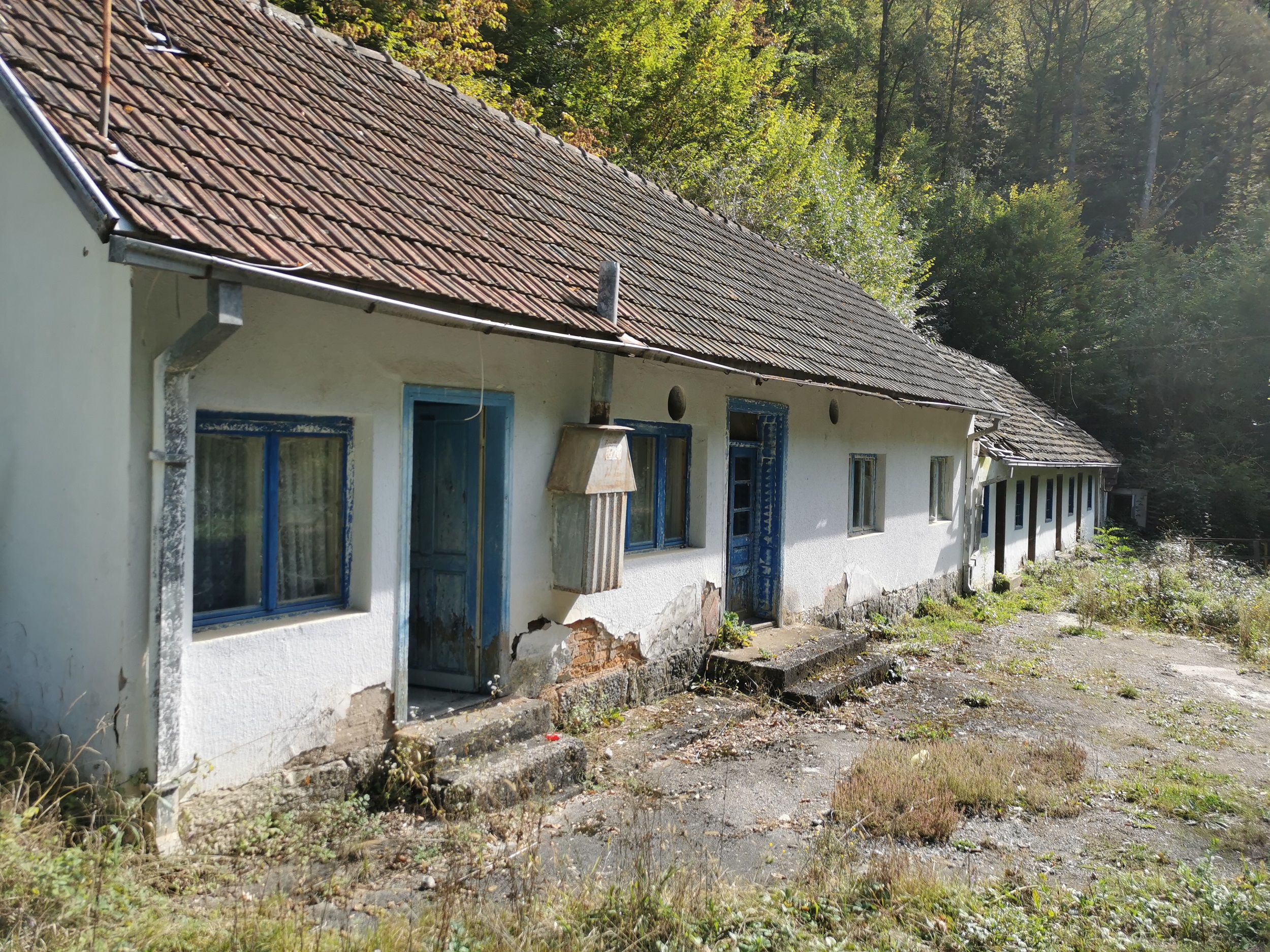 Рошка бања због нерешених имовинских односа данас зараста у коров, Фото: РИНА