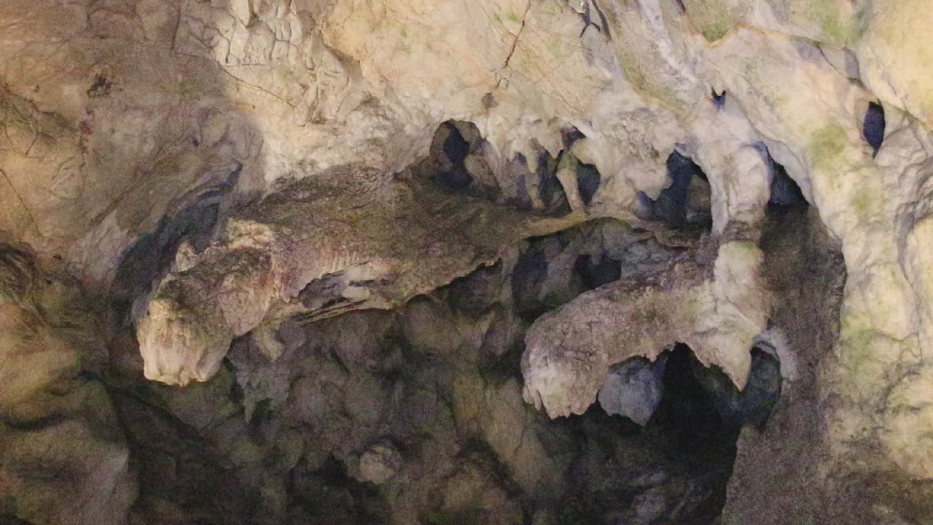 Скамењени змајеви који су чували извор, Фото: РИНА