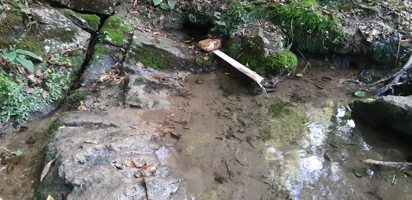 Овај лековити извор  пре пола века чувала је чак и полиција: Код Христове воде на Равној Гори излечили се многи, данас се до њега може само пешке (ФОТО)