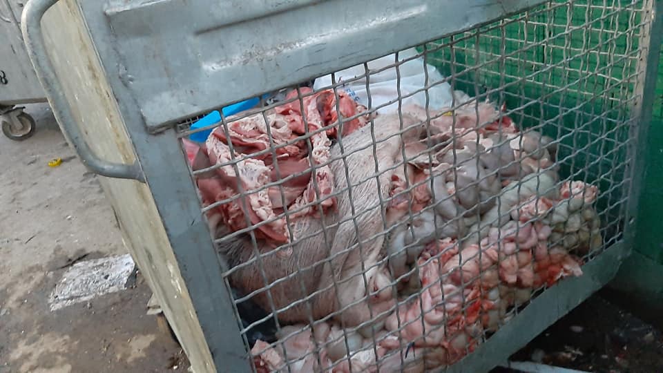 Строжије контроле приликом депоновања анималног и грађевинског отпада у Пријепољу: Решавају се кључни еколошки проблеми ове општине 