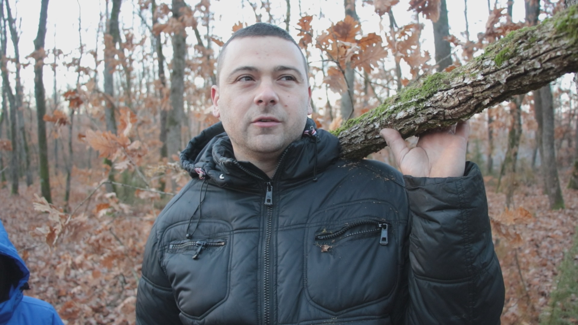 Најважније је да крошња буде широка и разграната јер то симболизује здравље целе породице, казао је Ранко/ Фото: РИНА