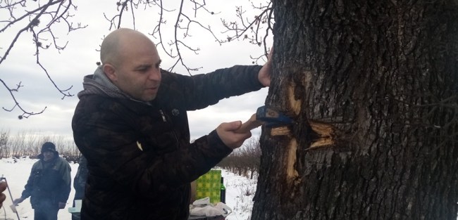 Предрагов син Дарко поштујхе старе обичаје, фото: РИНА