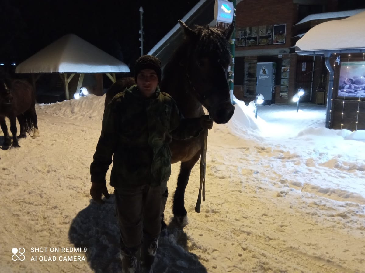 Поплава Милосављевићима однела 17 коња, али они не одустају: Уз помоћ добрих људи и мукотрпним радом њихово крдо опет је бројно, а током лета са планина извукли чак 6.000 метара дрва (ФОТО)