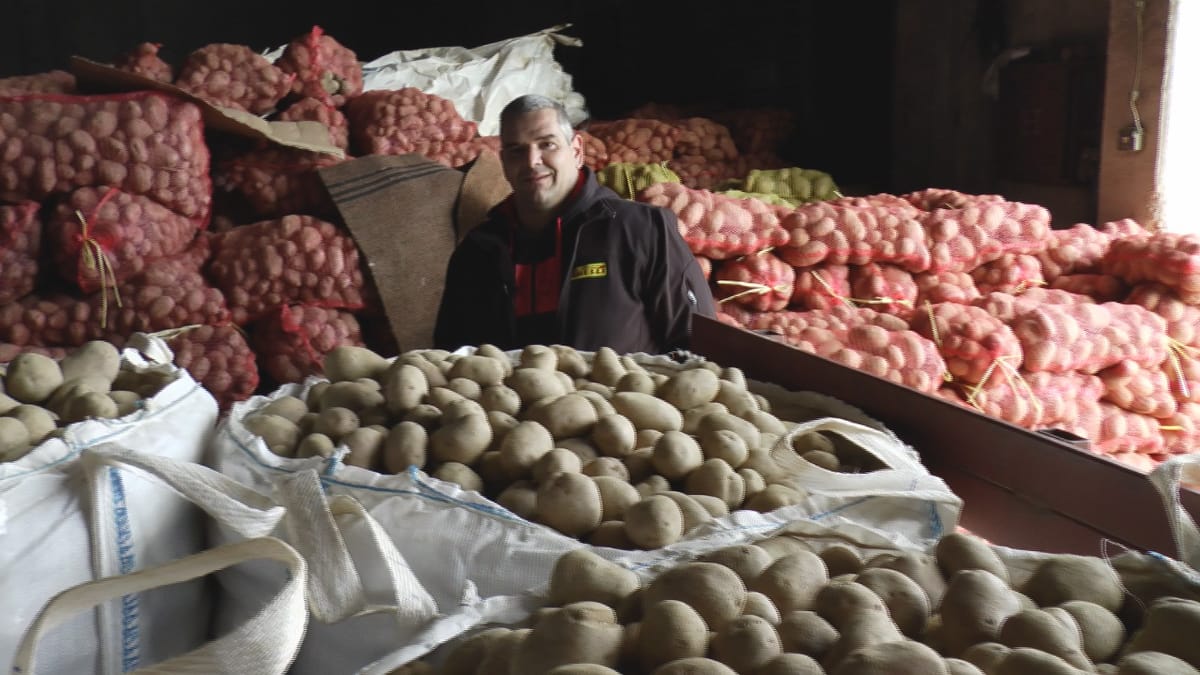 Немају коме да продају кромпир, фото: РИНА