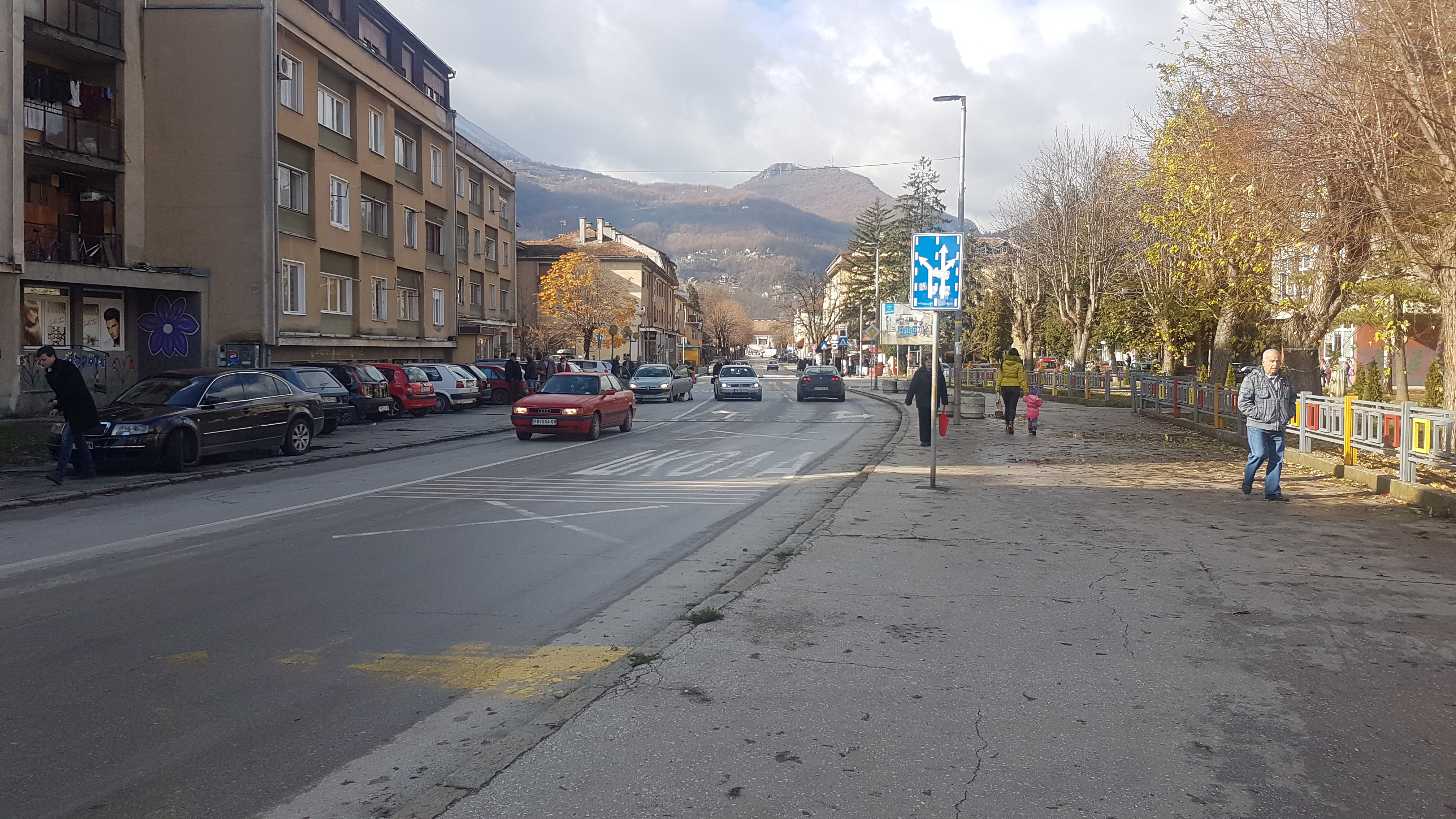 Никада већа улагања државе у здравију и чистију животну средину: У Прибоју се саде вишегодишња стабла јасена, граба и липе, пројекат пошумљавања вредан преко шест милиона динара